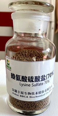 Lysine Sulfate 70%