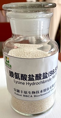 Lysine HCL 98%
